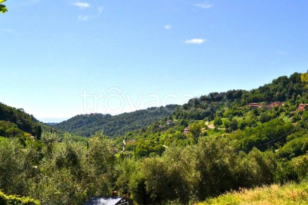 terreno agricolo in vendita a Castelnuovo di Porto