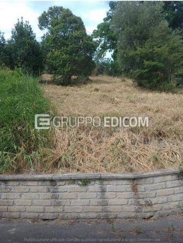 terreno agricolo in vendita a Castelnuovo di Porto in zona Vallelinda