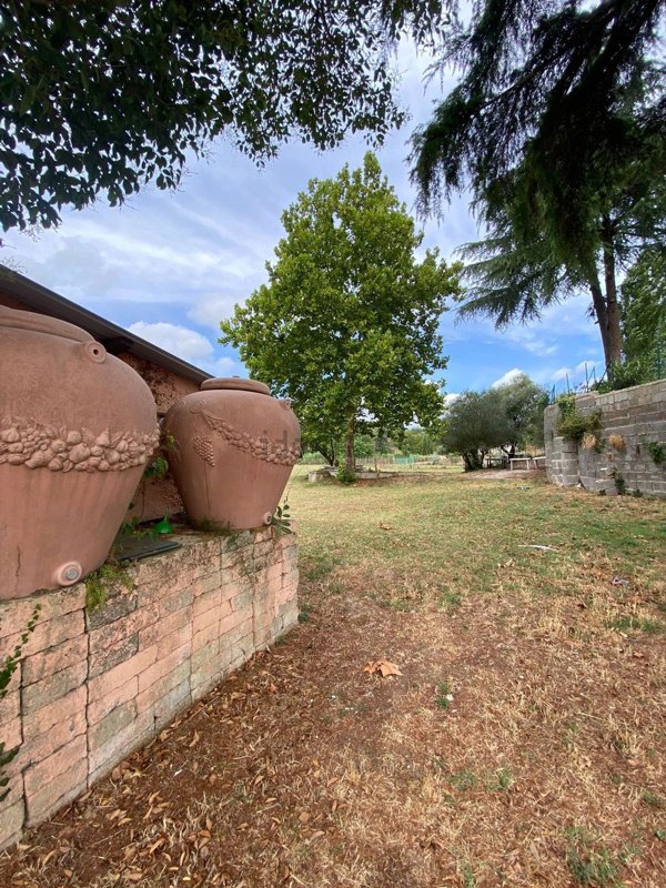 negozio in vendita a Castelnuovo di Porto