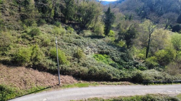terreno agricolo in vendita a Castelnuovo di Porto