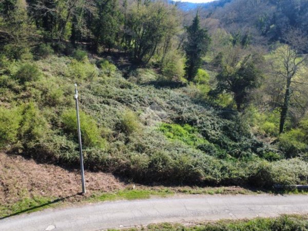 terreno agricolo in vendita a Castelnuovo di Porto