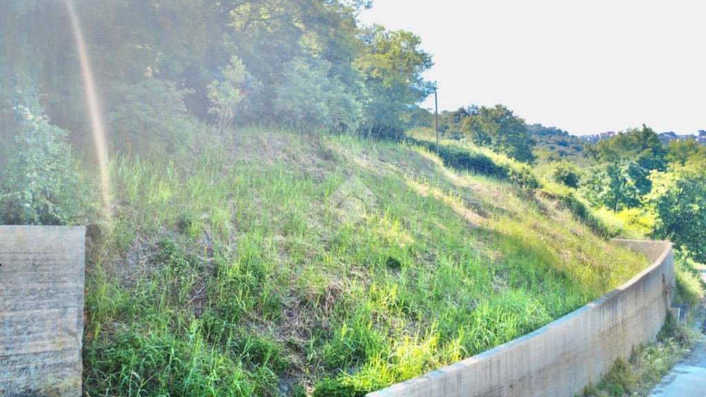 terreno agricolo in vendita a Castelnuovo di Porto in zona Vallelinda