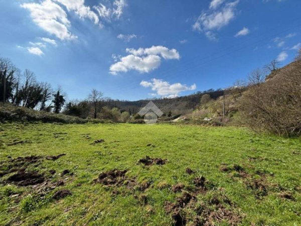 terreno agricolo in vendita a Castelnuovo di Porto in zona Vallelinda