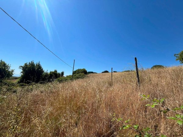 terreno agricolo in vendita a Castelnuovo di Porto