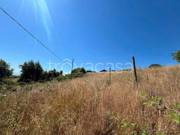terreno agricolo in vendita a Castelnuovo di Porto