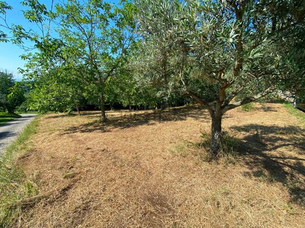 terreno agricolo in vendita a Castel San Pietro Romano
