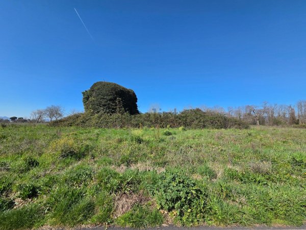 appartamento in vendita a Cave in zona Collepalme