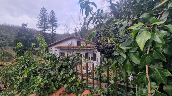 casa indipendente in vendita a Cave