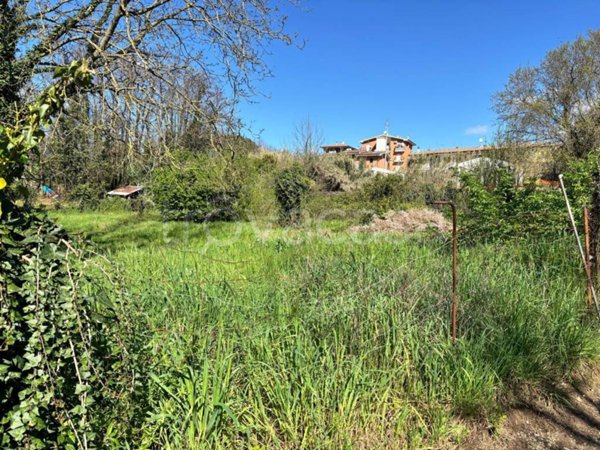 terreno agricolo in vendita a Cave