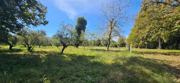 terreno agricolo in vendita a Cave