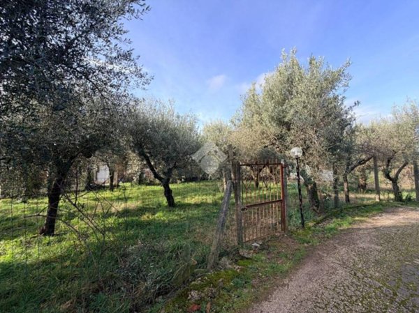 terreno edificabile in vendita a Cave