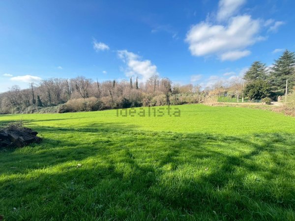 terreno agricolo in vendita a Cave in zona Collepalme