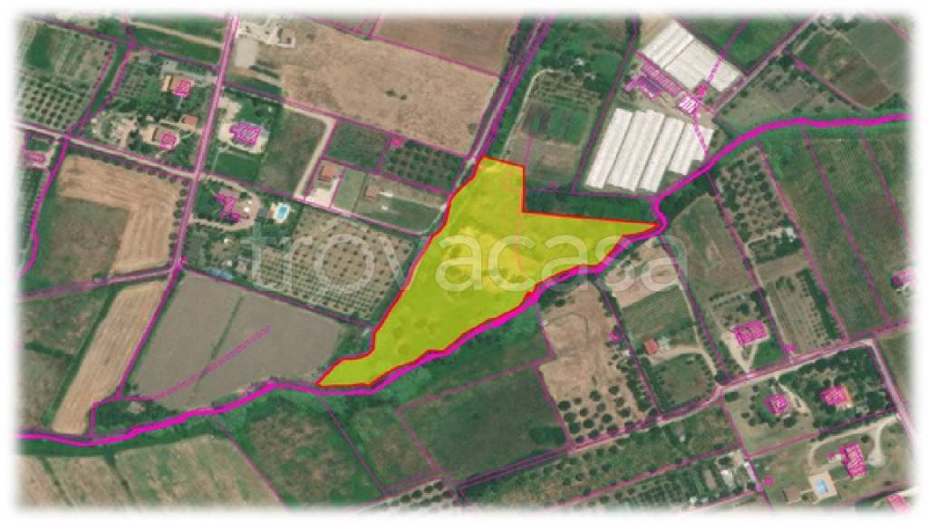 terreno agricolo in vendita a Cerveteri in zona Sasso