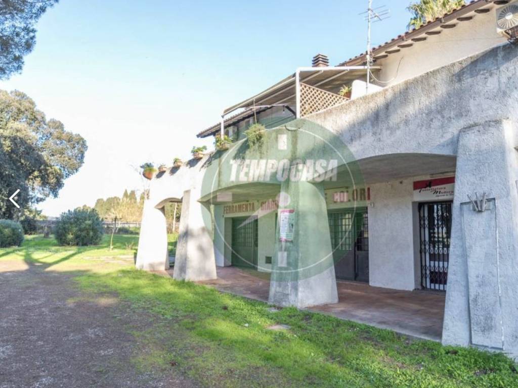 negozio in vendita a Cerveteri in zona Cerenova