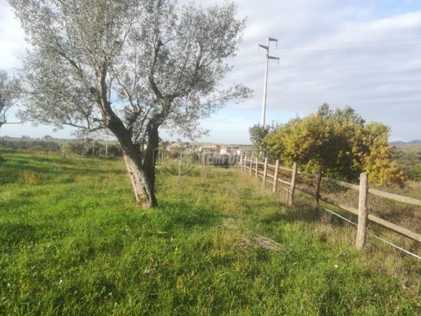 terreno agricolo in vendita a Cerveteri