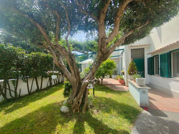 casa indipendente in vendita a Cerveteri in zona Cerenova