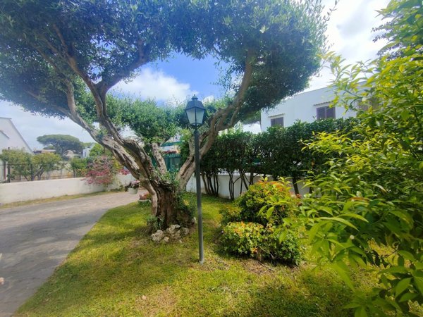 casa indipendente in vendita a Cerveteri in zona Cerenova