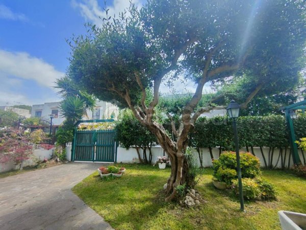 casa indipendente in vendita a Cerveteri in zona Cerenova