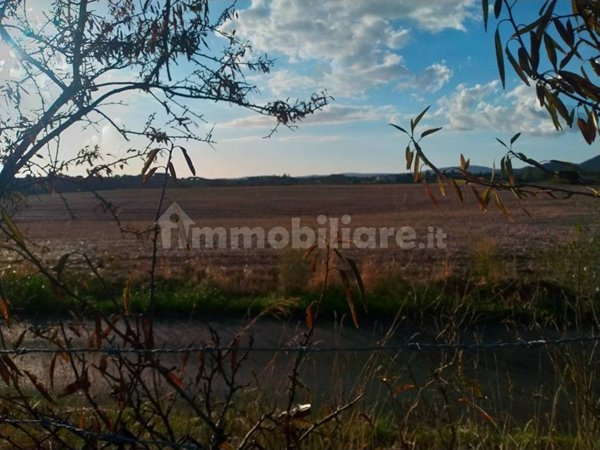 terreno agricolo in vendita a Cerveteri