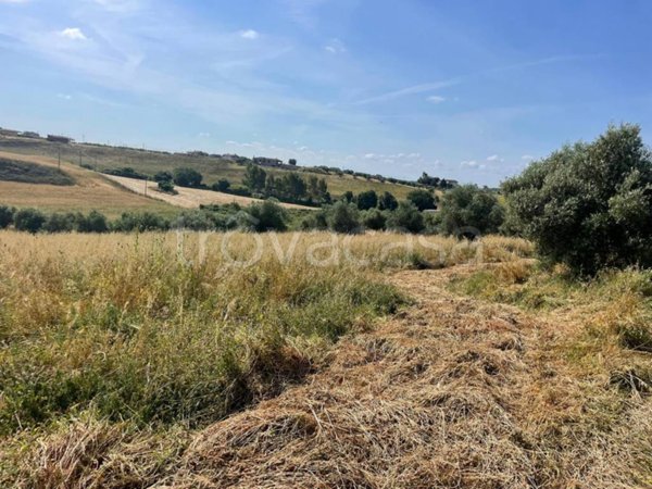 terreno agricolo in vendita a Cerveteri in zona Cerenova