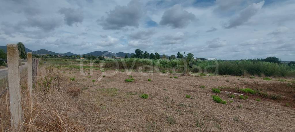 appartamento in vendita a Cerveteri