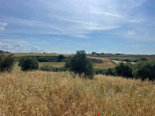 terreno agricolo in vendita a Cerveteri in zona Ceri