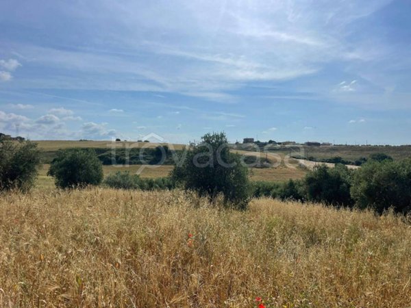 terreno agricolo in vendita a Cerveteri in zona Ponte Coperto