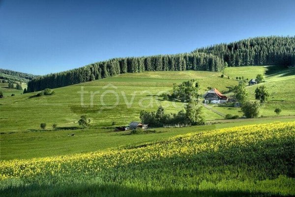 negozio in vendita a Cerveteri in zona Ceri