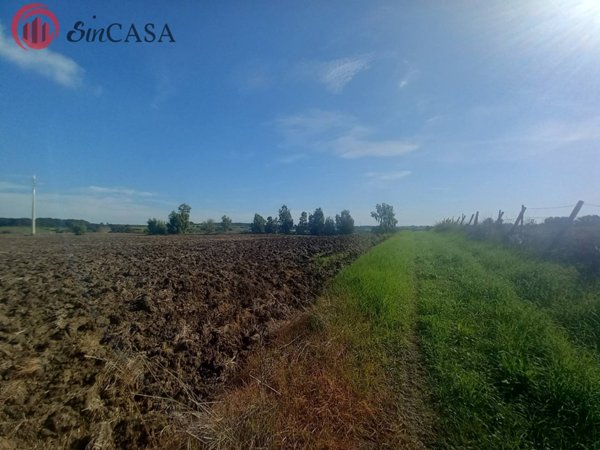 ufficio in vendita a Cerveteri