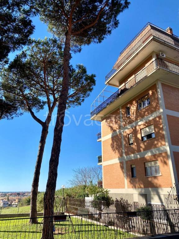 appartamento in vendita a Cerveteri