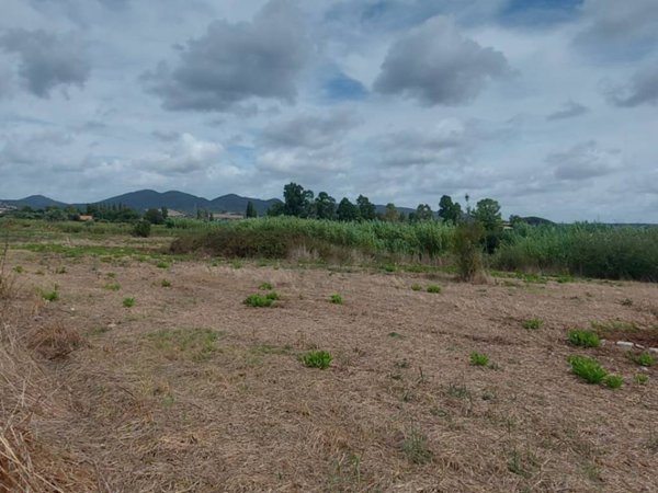 terreno agricolo in vendita a Cerveteri in zona Furbara