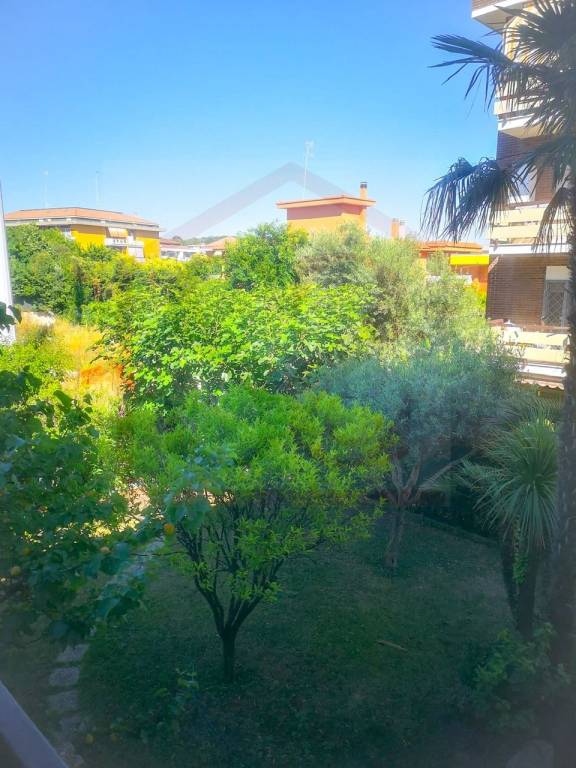 appartamento in vendita a Cerveteri