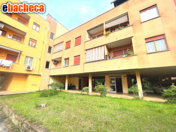appartamento in vendita a Cerveteri