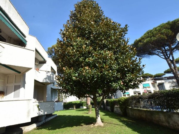 appartamento in vendita a Cerveteri in zona Marina di Cerveteri