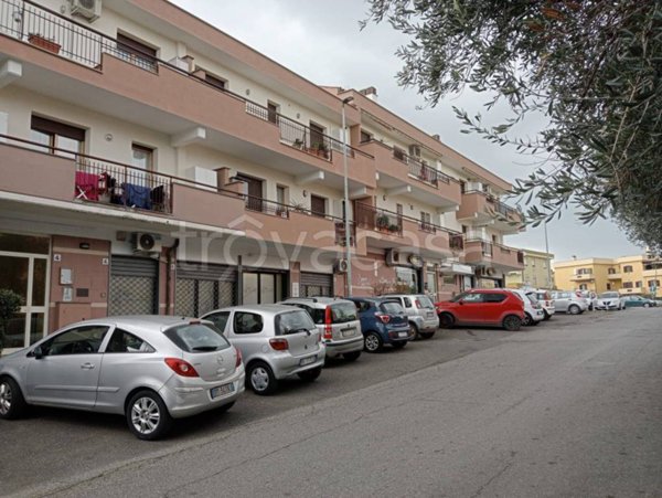 appartamento in vendita a Cerveteri