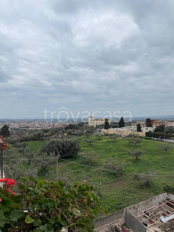 appartamento in vendita a Cerveteri in zona Cerenova