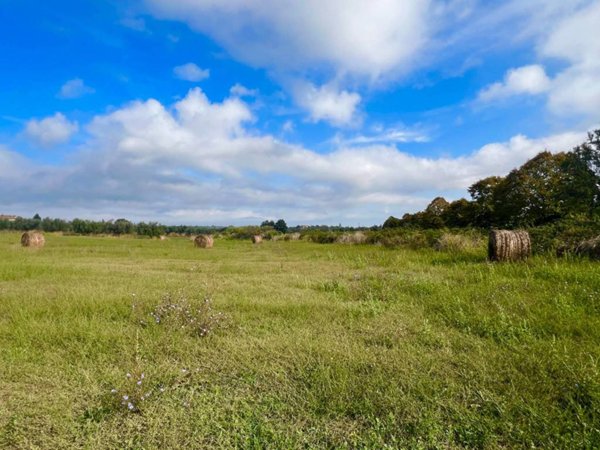 terreno agricolo in vendita a Cerveteri in zona Ceri