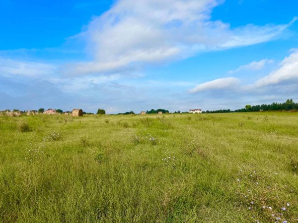 terreno agricolo in vendita a Cerveteri in zona Valcanneto