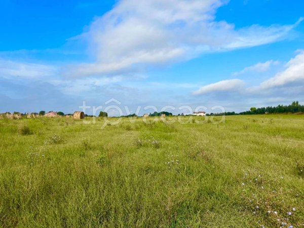 terreno agricolo in vendita a Cerveteri