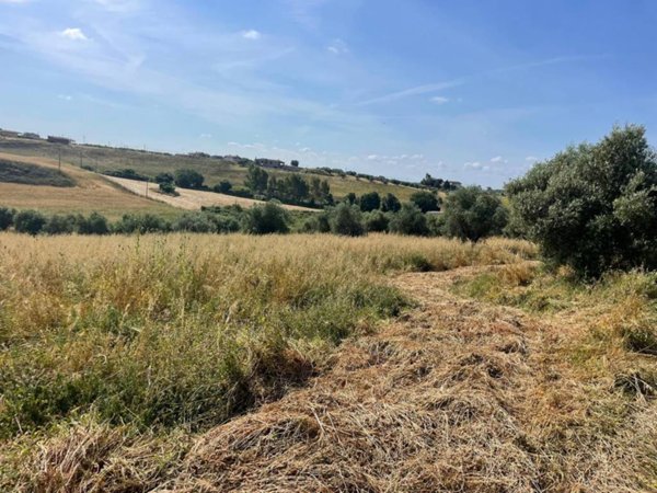 terreno agricolo in vendita a Cerveteri in zona Valcanneto