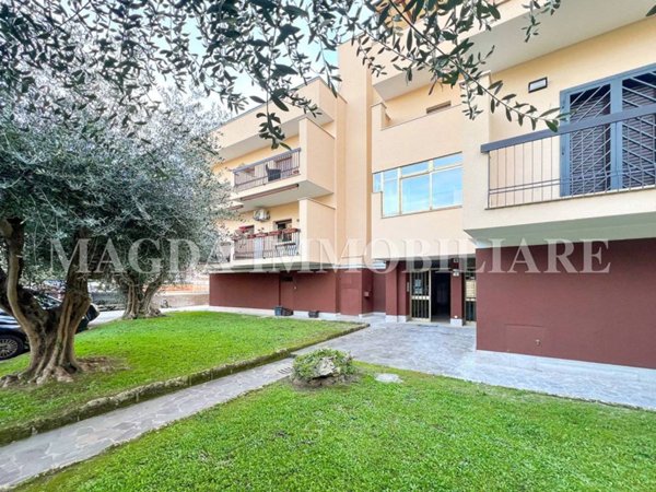 appartamento in vendita a Cerveteri