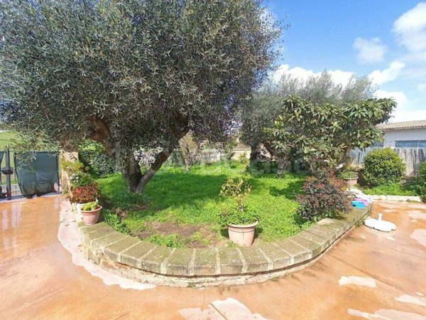 appartamento in vendita a Cerveteri