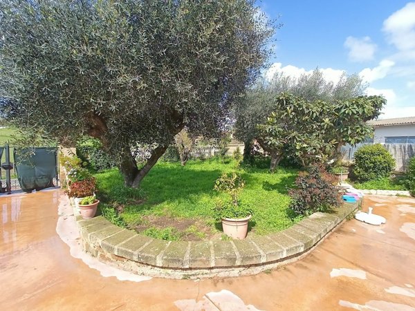 appartamento in vendita a Cerveteri