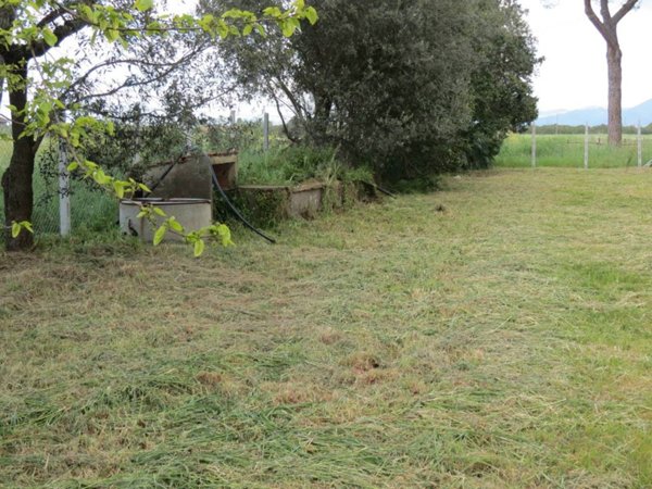 casa indipendente in vendita a Cerveteri in zona Marina di Cerveteri