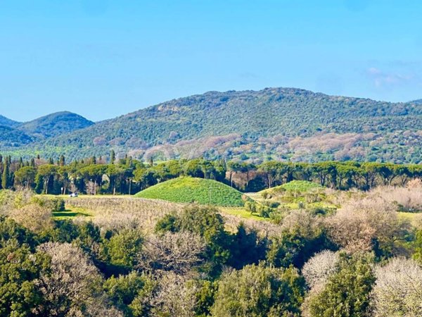 appartamento in vendita a Cerveteri