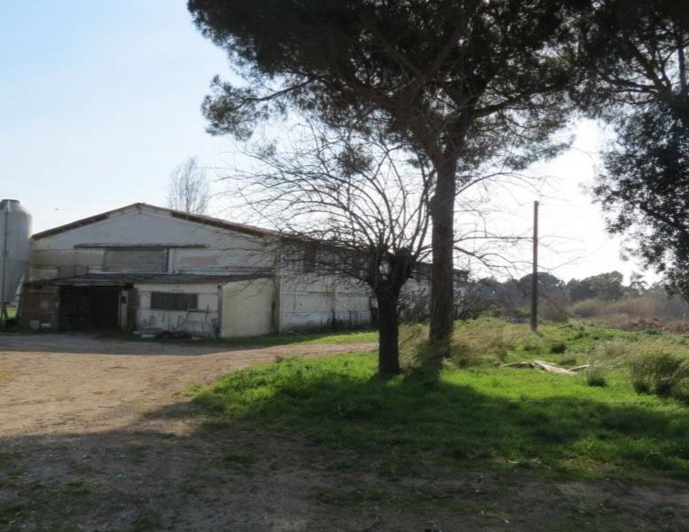 locale commerciale in vendita a Cerveteri in zona Marina di Cerveteri