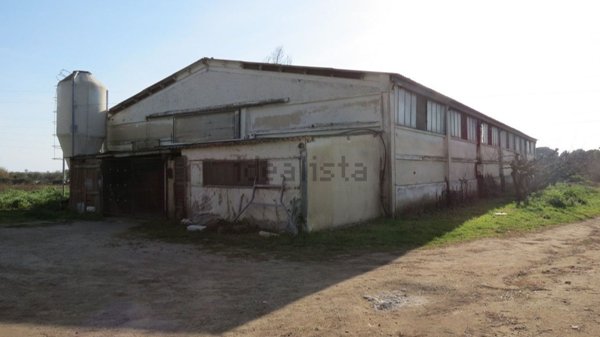 casa indipendente in vendita a Cerveteri in zona Marina di Cerveteri