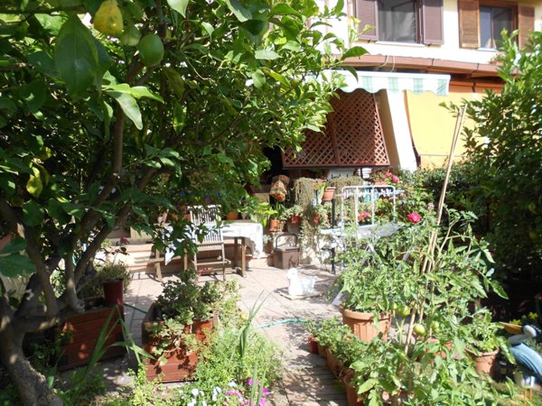 appartamento in vendita a Cerveteri