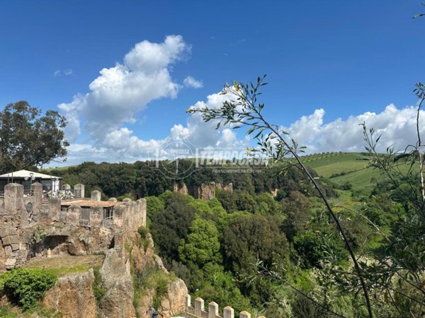 appartamento in vendita a Cerveteri in zona Ceri
