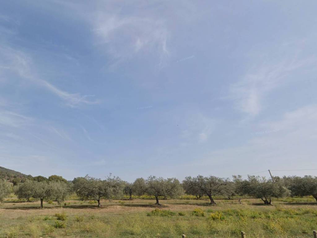 terreno agricolo in vendita a Cerveteri in zona Gricciano